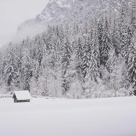 B&B Fruehstueckspension Auer - Haus Kargl 슈라드밍