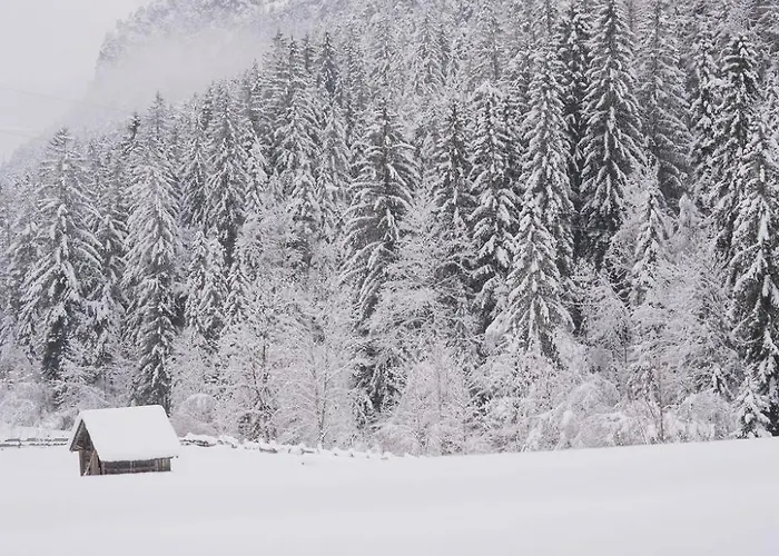 Bed & Breakfast Fruehstueckspension Auer - Haus Kargl Schladming